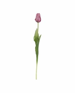 Tulpe Edel, rosa, 48 cm