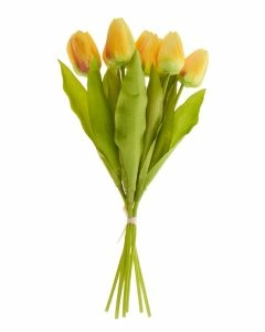Strau&szlig; Tulpe, 6 Bl&uuml;ten, gelb, 40 cm