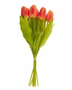Strau&szlig; Tulpe, 6 Bl&uuml;ten, orange, 40 cm