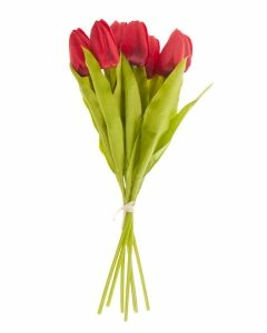 Strau&szlig; Tulpe, 6 Bl&uuml;ten, rot, 40 cm