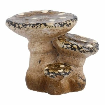 Pilz Punkte, flach, 5 cm