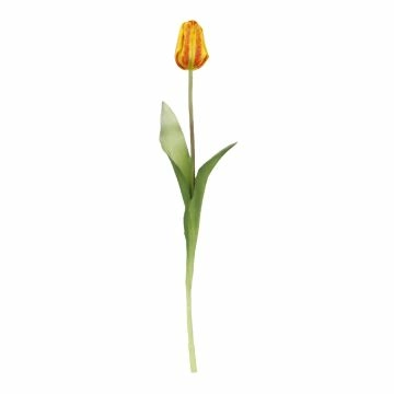 Tulpe Edel, orange, 48 cm