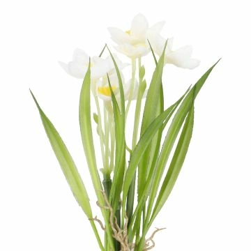 Deko-Stecker Frühblüher, Narzisse/weiß, 22 cm
