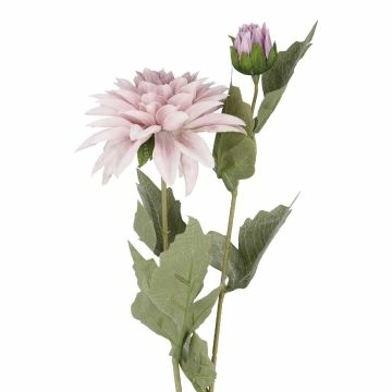 Dahlie Herbst/Pastell, flieder, 66 cm