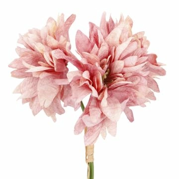 Dahlienstrauß, 3 Blüten, altrosa, 34 cm