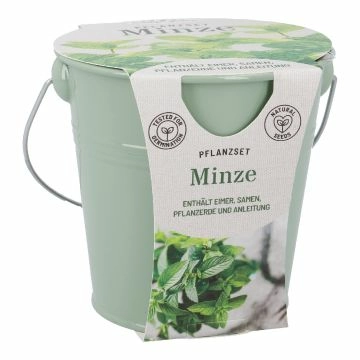 Pflanzset im Eimer, Minze/grün
