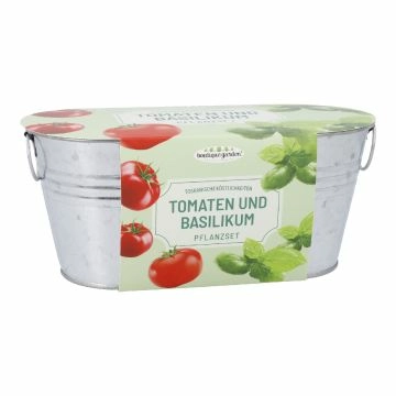 Pflanzset in Wanne, Tomate/Basilikum/rot