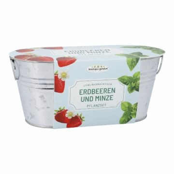 Pflanzset in Wanne, Erdbeere/Minze/rosa