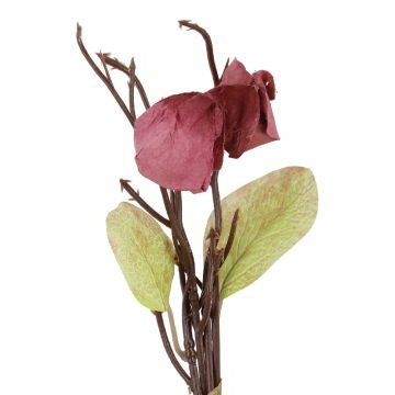 Deko-Stecker Physalis, rot, 16 cm