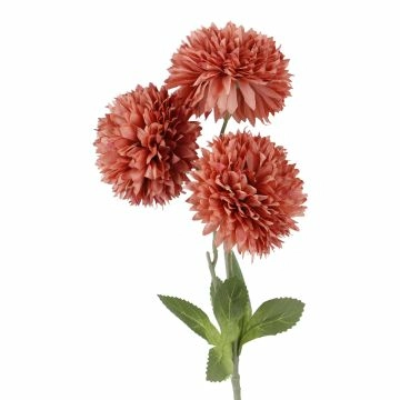 Pompom Herbst mit 3 Blüten, dunkelrosa, 43 cm