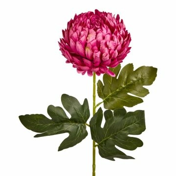 Chrysantheme, üppig/pink, 66 cm