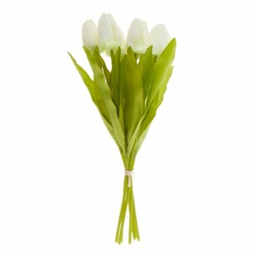 Strauß Tulpe, 6 Blüten, weiß, 40 cm
