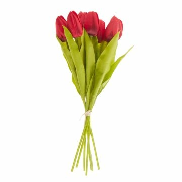 Strauß Tulpe, 6 Blüten, rot, 40 cm
