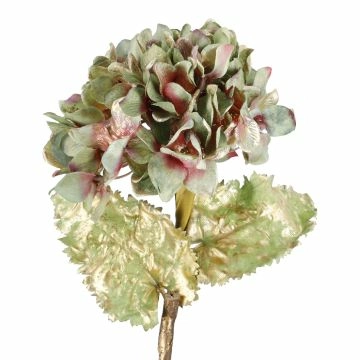 Hortensie Herbst, grün/gold, 55 cm