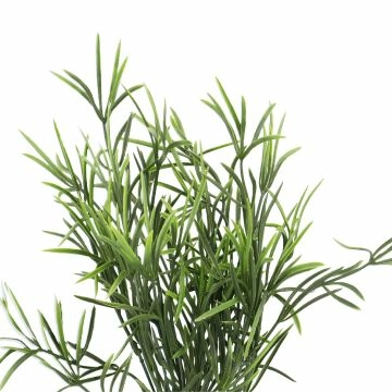 Busch Küstengras, Gras/grün, 38 cm