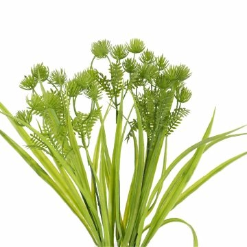Busch Küstengras, Pompom/grün, 38 cm