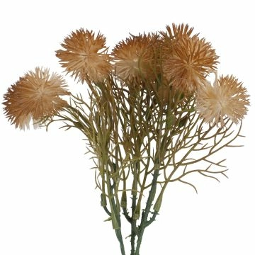 Strauß Minipompoms, hellbraun, 24 cm