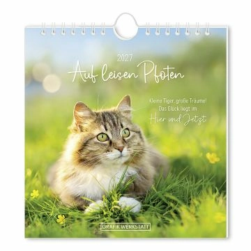 Postkarten Kalender, 2027, Auf leisen Pfoten