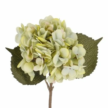 Hortensie Herbst, grün, 46 cm