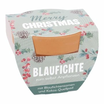 Pflanzset Tannenbaum, Mini/Merry Christmas, grün