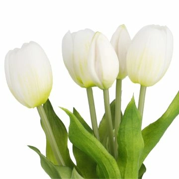 Strauß Tulpe, 5 Blüten, weiß, 30 cm