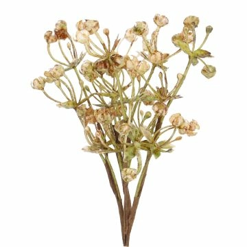 Deko-Stecker Knospen, beige, 23 cm