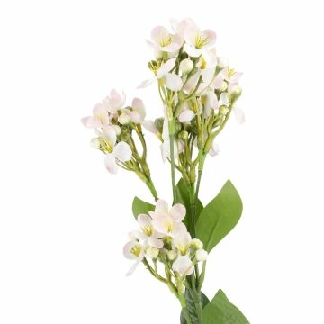 Flieder Edel, rosa, 51 cm