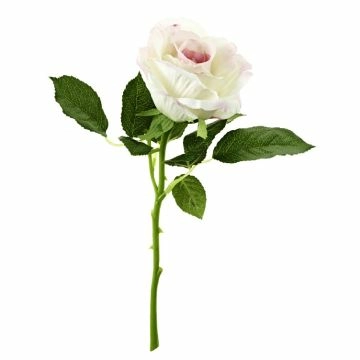 Rose, 30 cm, hell-pink