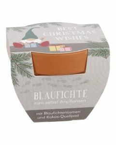 Pflanzset Tannenbaum, Mini/Wichtel
