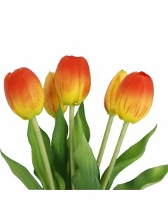 Strau&szlig; Tulpe, 5 Bl&uuml;ten, orange, 30 cm