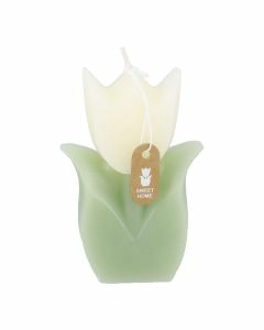 Kerze Tulpe, wei&szlig;/gr&uuml;n, 6 x 9 cm