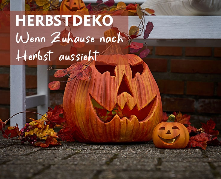 740x600_kuerbis-mit-gesicht-26