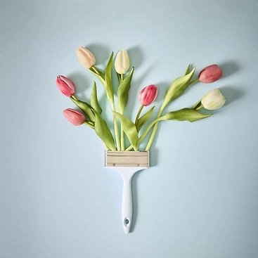 Tulpen