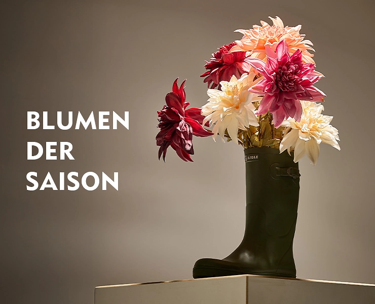 740x600_herbstblumen26-saison