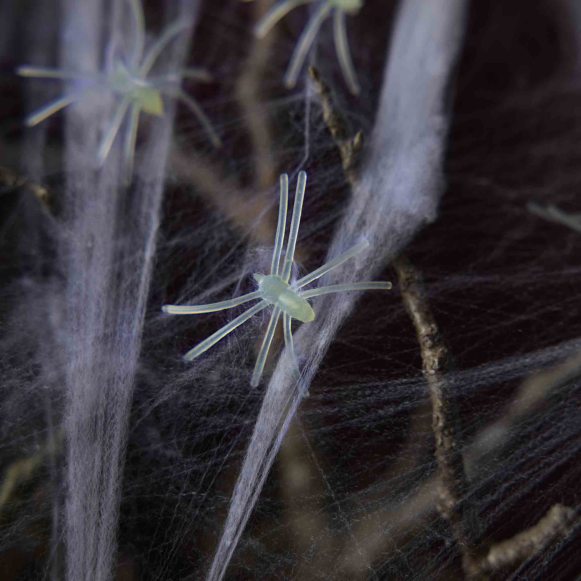 Deko-Spinnennetz, weiß/Glow in the dark Spinnen