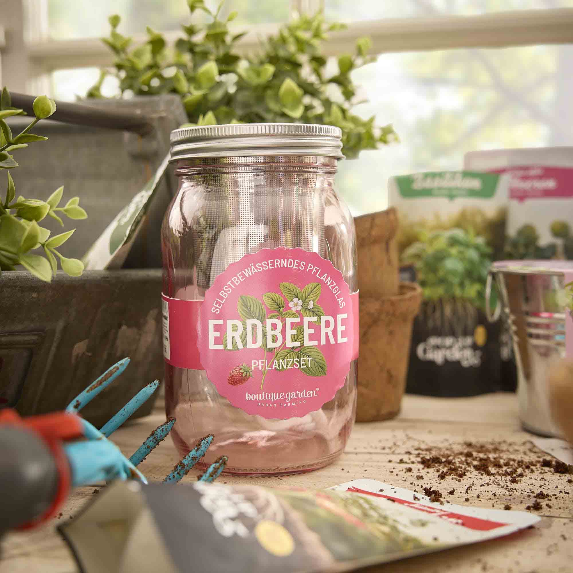 Pflanzset im Glas, Erdbeere