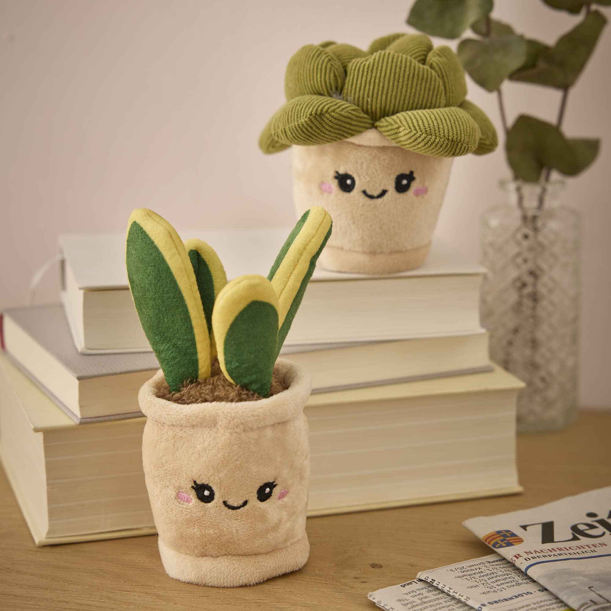 Deko-Topfpflanze mit Gesicht, Sukkulente, 11 cm