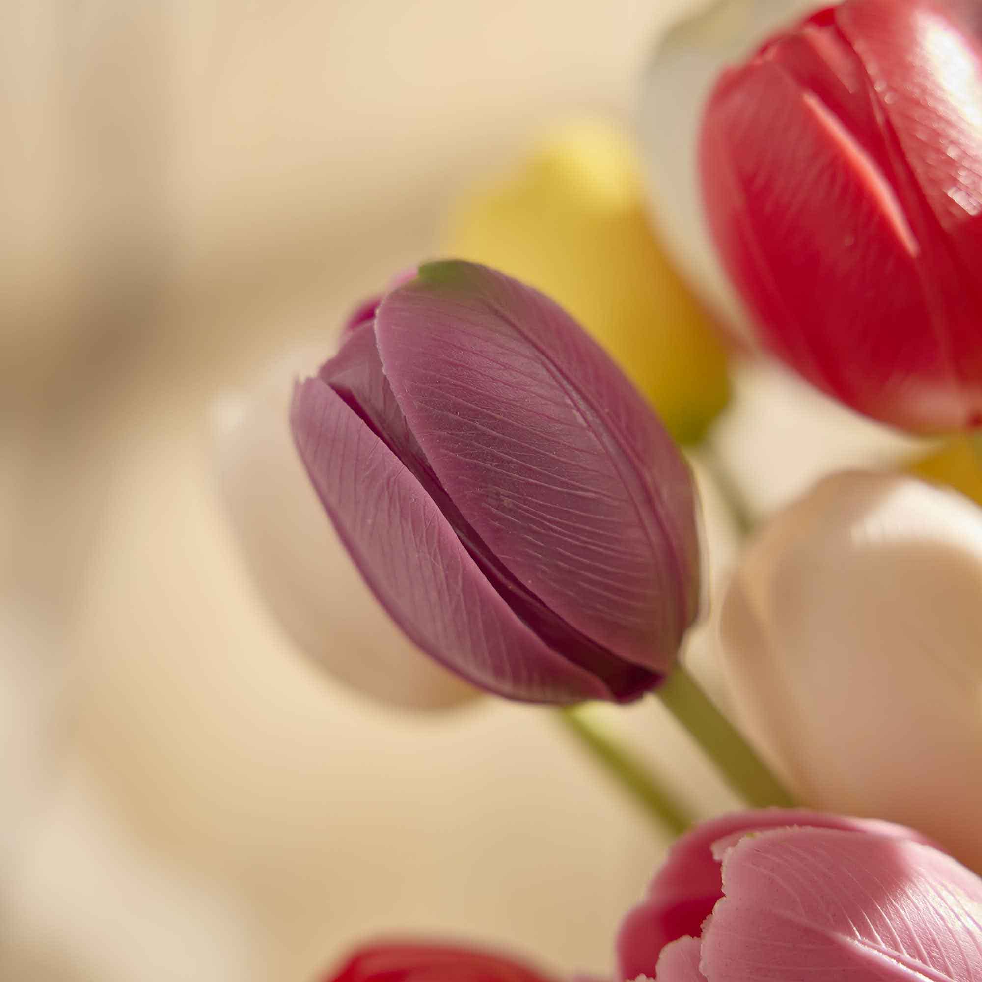 Tulpenstrauß 5 Blüten, bunt, 40 cm