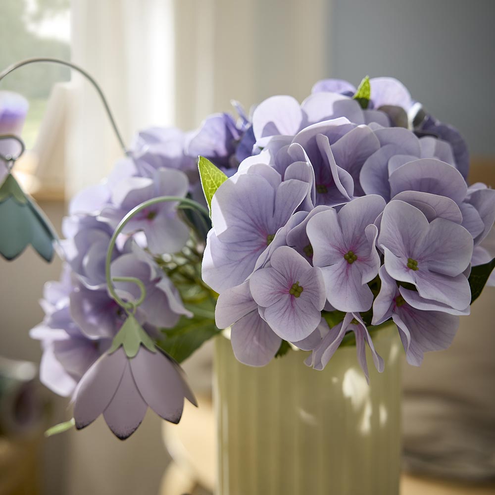 Hortensie Sophia, flieder, 35 cm