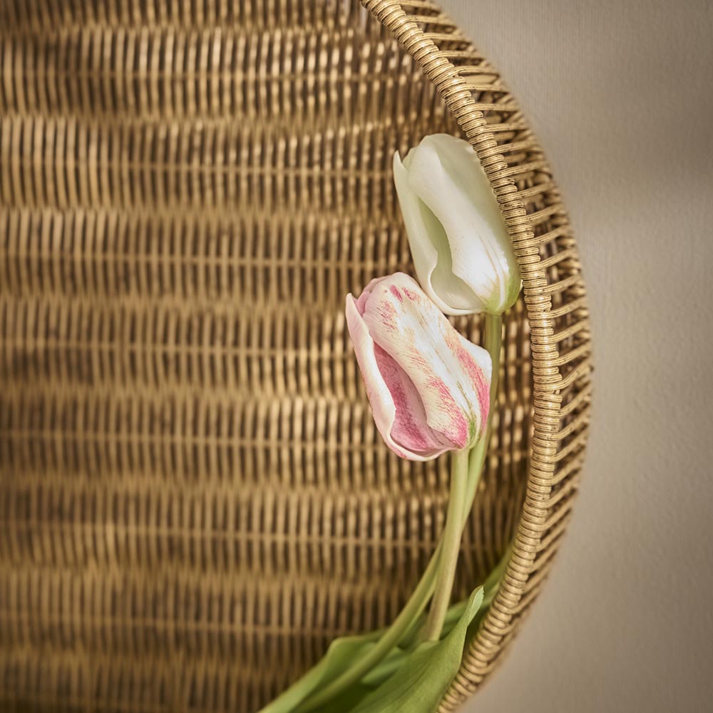 Tulpe Edel, hellrosa, 48 cm