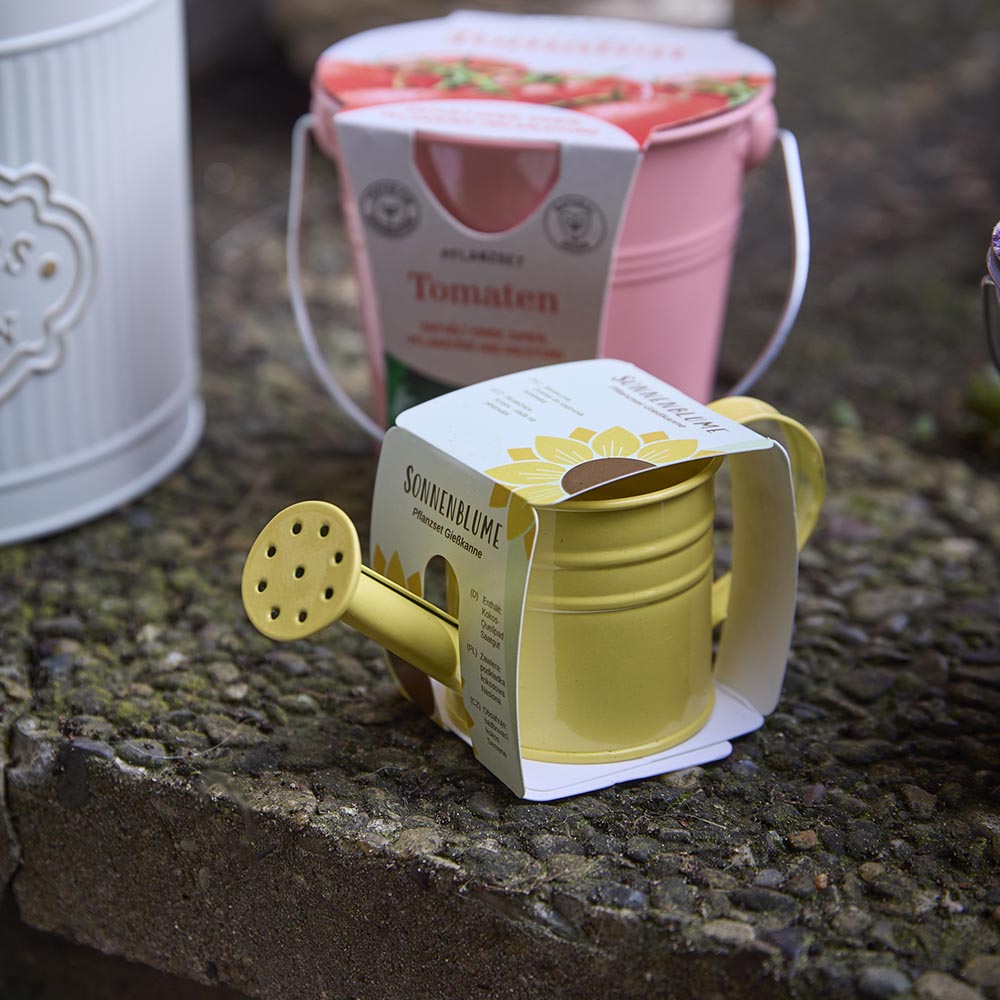 Pflanzset Giesskanne, Sonnenblume