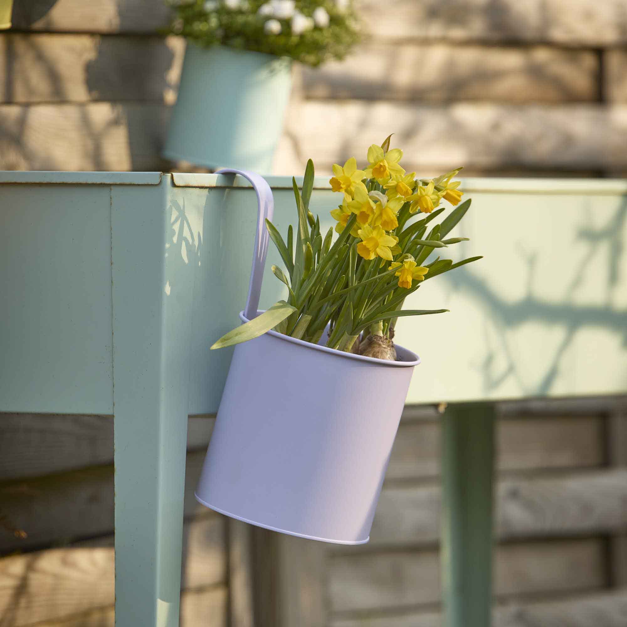 Pflanztopf, lila/hängend, 15.5 x 25.5 cm