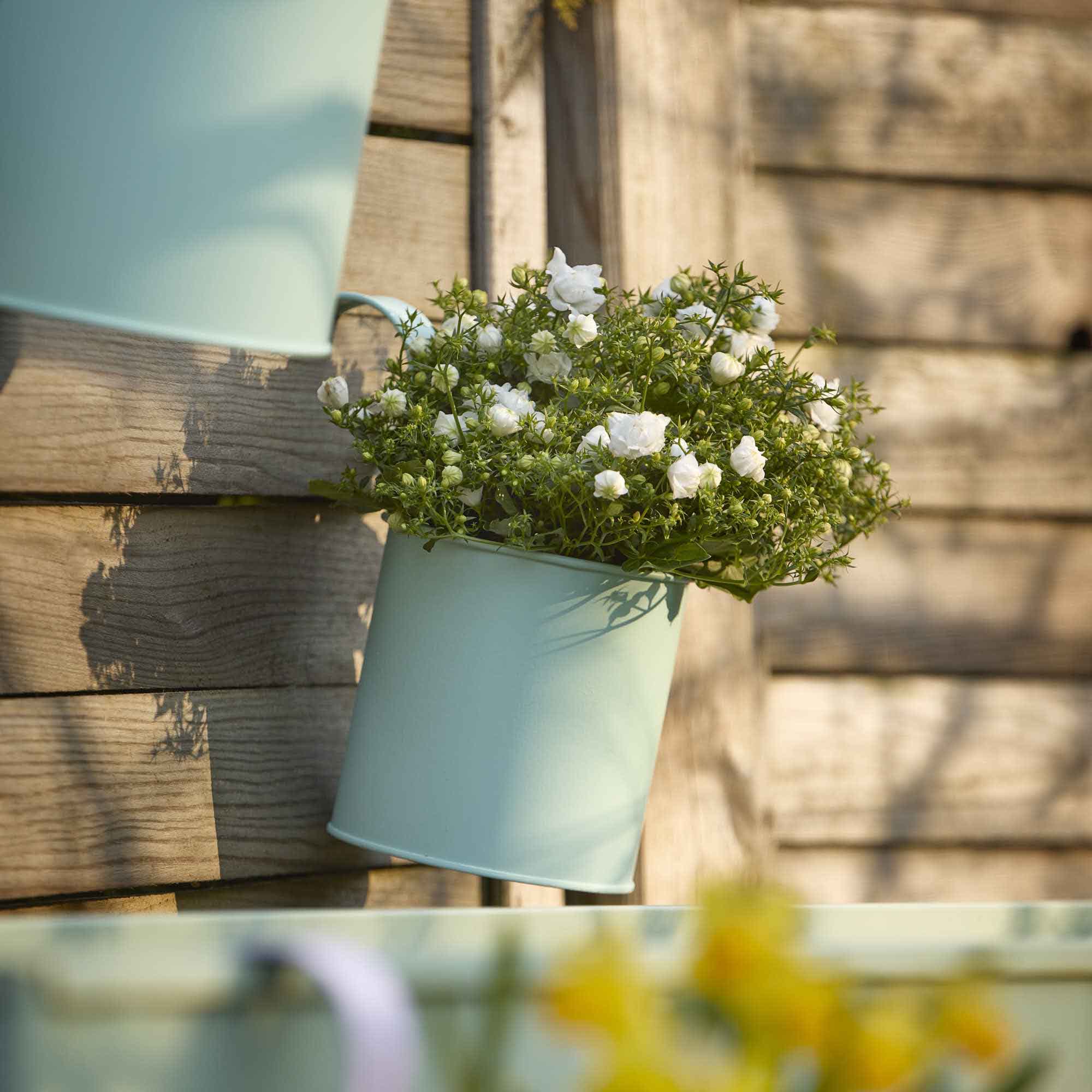 Pflanztopf, grün/hängend, 11 x 19 cm