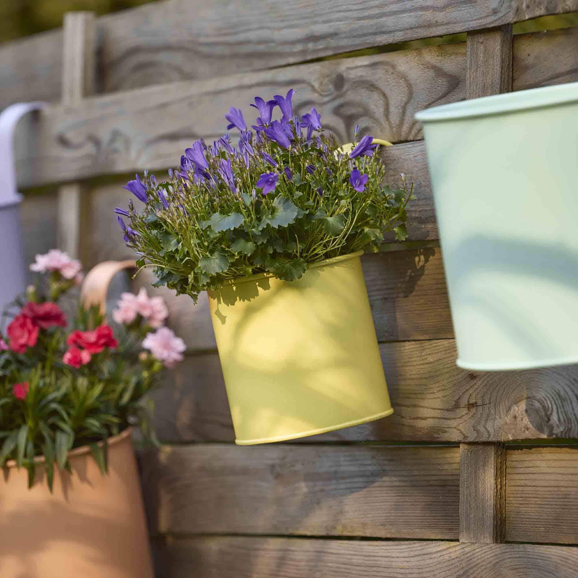 Pflanztopf, gelb/hängend, 11 x 19 cm