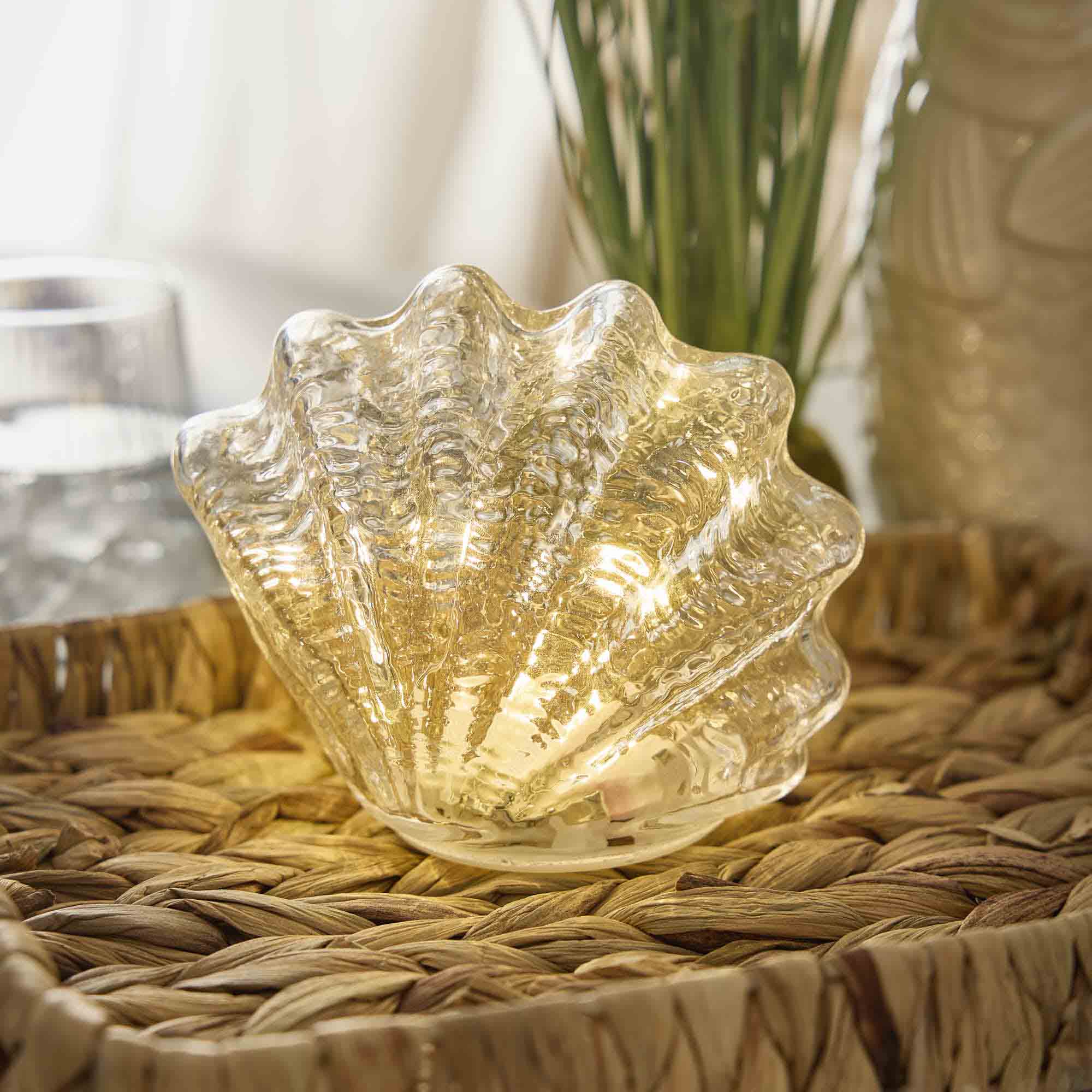 LED-Muschel, klar, 12 x 14 cm