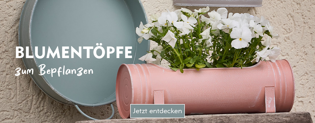 Blumentöpfe