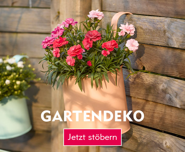 Entdecke Gartendeko bei Nanu-Nana Am Zaun hängender Blumentopf verlinkt auf die Kategorie Gartendeko